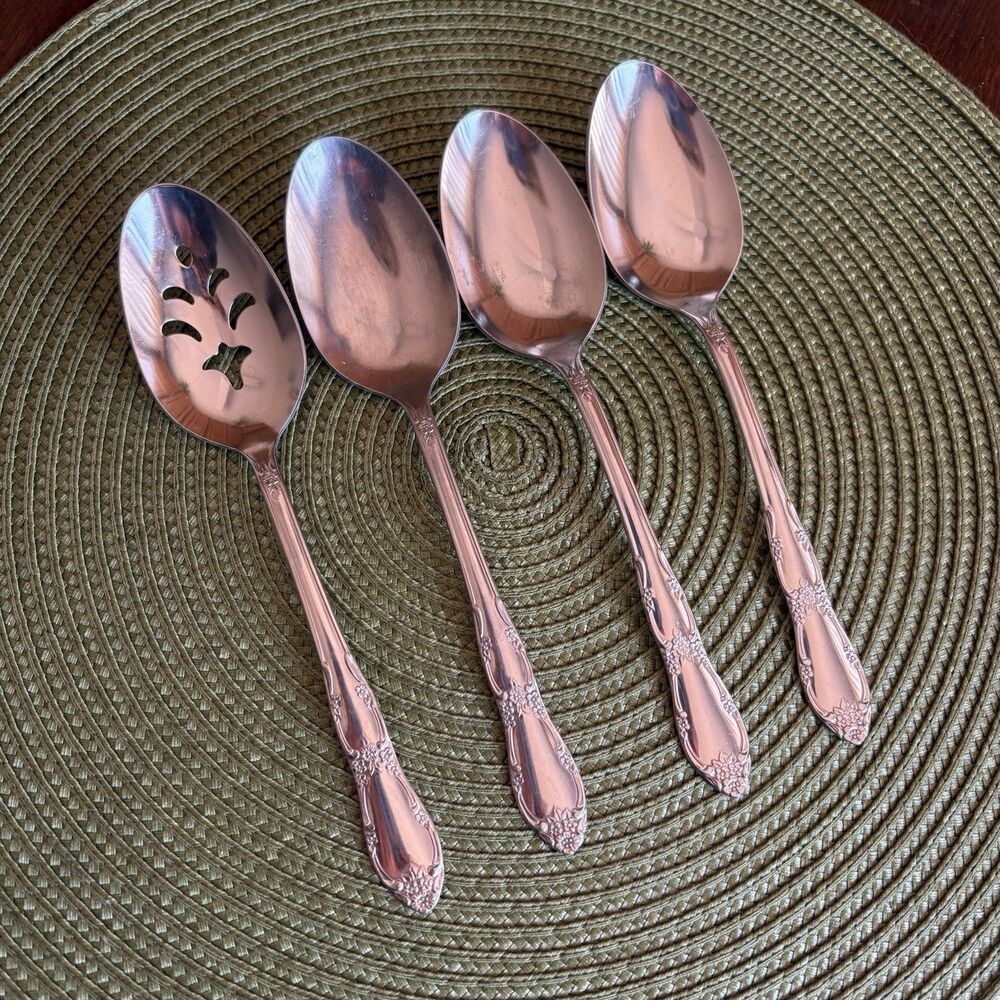 Serving Spoons Set Of 4 Oneida Fenway Wm A Rogers Daydream Stainless Flatware